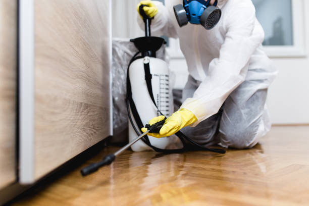 Pest Control Cost in Lodi, OH