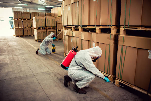 Best Pest Inspection Near Me  in Lodi, OH
