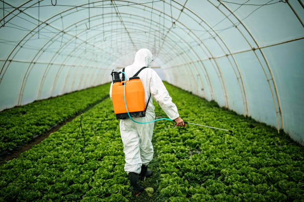 Best Ant Control Services  in Lodi, OH