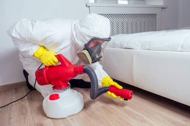 Best Mosquito Control Services  in Lodi, OH