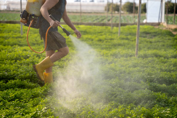 Best Pest Removal Services  in Lodi, OH