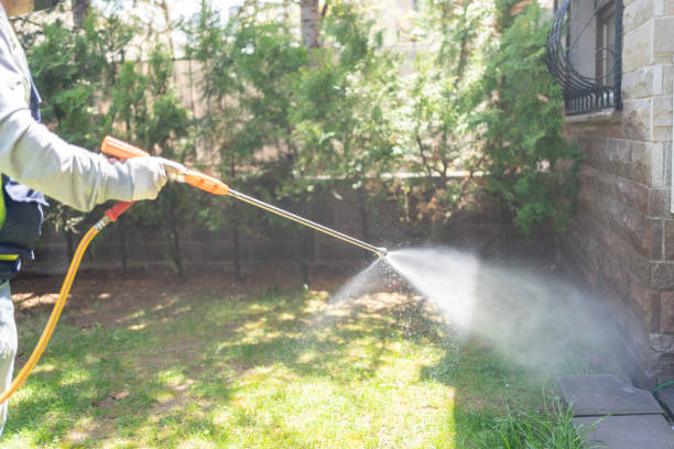 Best Flea Control Services  in Lodi, OH