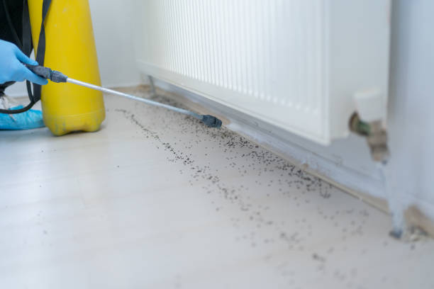 Best Pest Prevention Services  in Lodi, OH